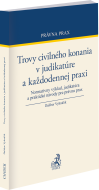 Trovy civilného konania v judikatúre a každodennej praxi